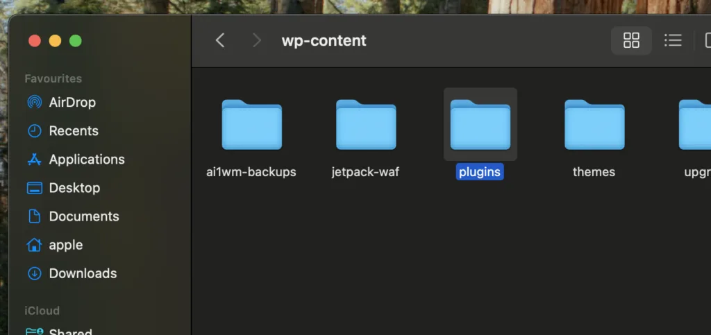 Image of a macOS Finder window displaying the 'wp-content' directory, featuring folders for 'ai1wm-backups,' 'jetpack-waf,' 'plugins,' 'themes,' and 'uploads,' highlighting the organizational structure for WordPress website files.