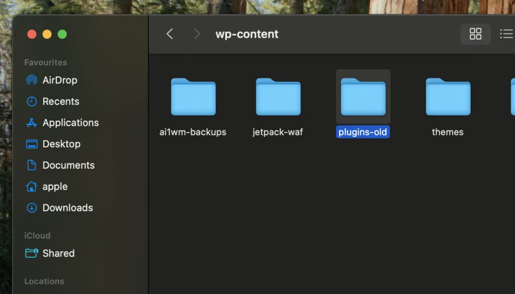 Screenshot of a computer file directory showing the 'wp-content' folder with subfolders including 'ai1wm-backups', 'jetpack-waf', 'plugins-old', and 'themes', indicating a WordPress website structure.
