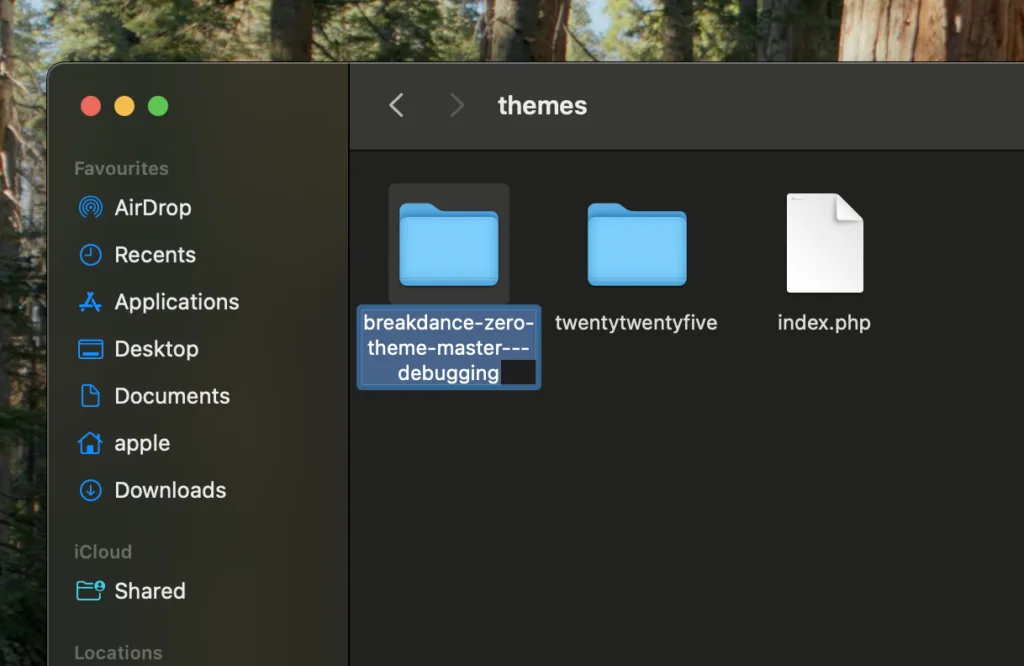 Folder directory showing themes on a Mac computer, including "breakdance-zero-theme-master-debugging," "twentytwentyfive," and an "index.php" file.