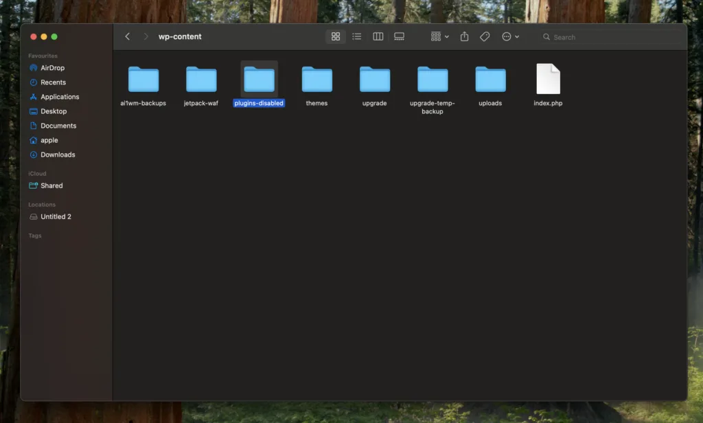 File directory view of a WordPress wp-content folder displaying subfolders such as plugins-disabled, ai1wm-backups, jetpack-waf, themes, uploads, and an index.php file.